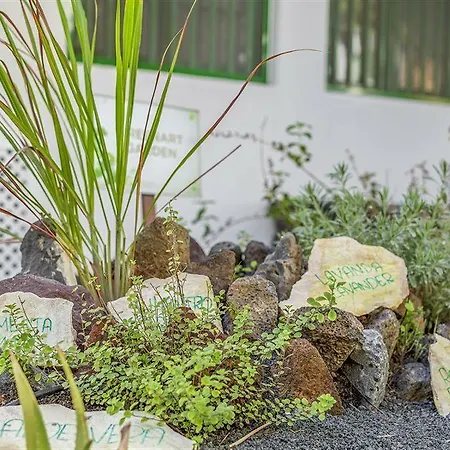 Club Del Carmen 아파트호텔 푸에르토 델 카르멘